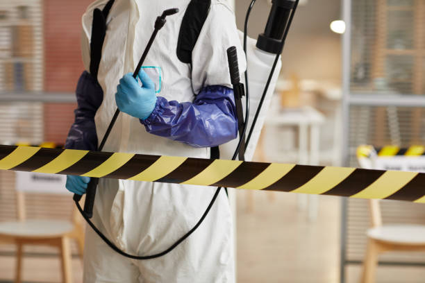 Professional Sewage Cleanup technician working in Hickory Corners, MI